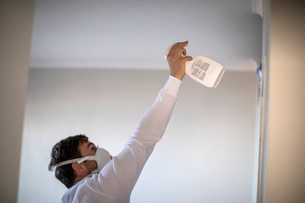 Best Residential Mold Remediation in Homeland, GA