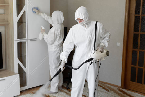 Best HVAC Mold Remediation in Homeland, GA