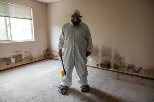 Homeland, GA Mold Remediation Company