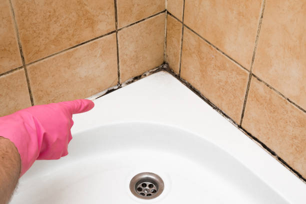 Best Mold Testing and Inspection Services in Homeland, GA